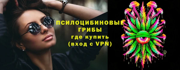 дживик Иннополис