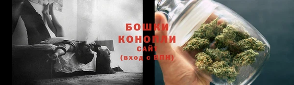ECSTASY Инсар