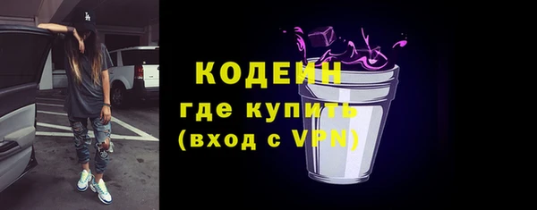 СК Инта
