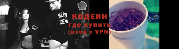 ECSTASY Инсар