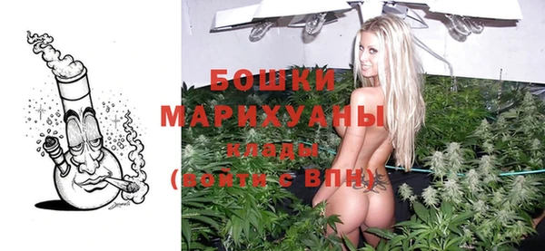 ECSTASY Инсар