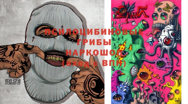 дживик Иннополис