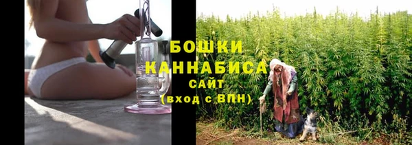 ECSTASY Инсар