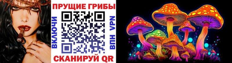 Галлюциногенные грибы Psilocybine cubensis Купить где Макаров