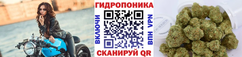 Купить где  Макаров  Бошки Шишки Amnesia 